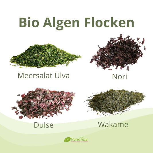 Bio Algen Flocken Ansicht - meersalat Ulva, Nori, Dulse und Wakame locken