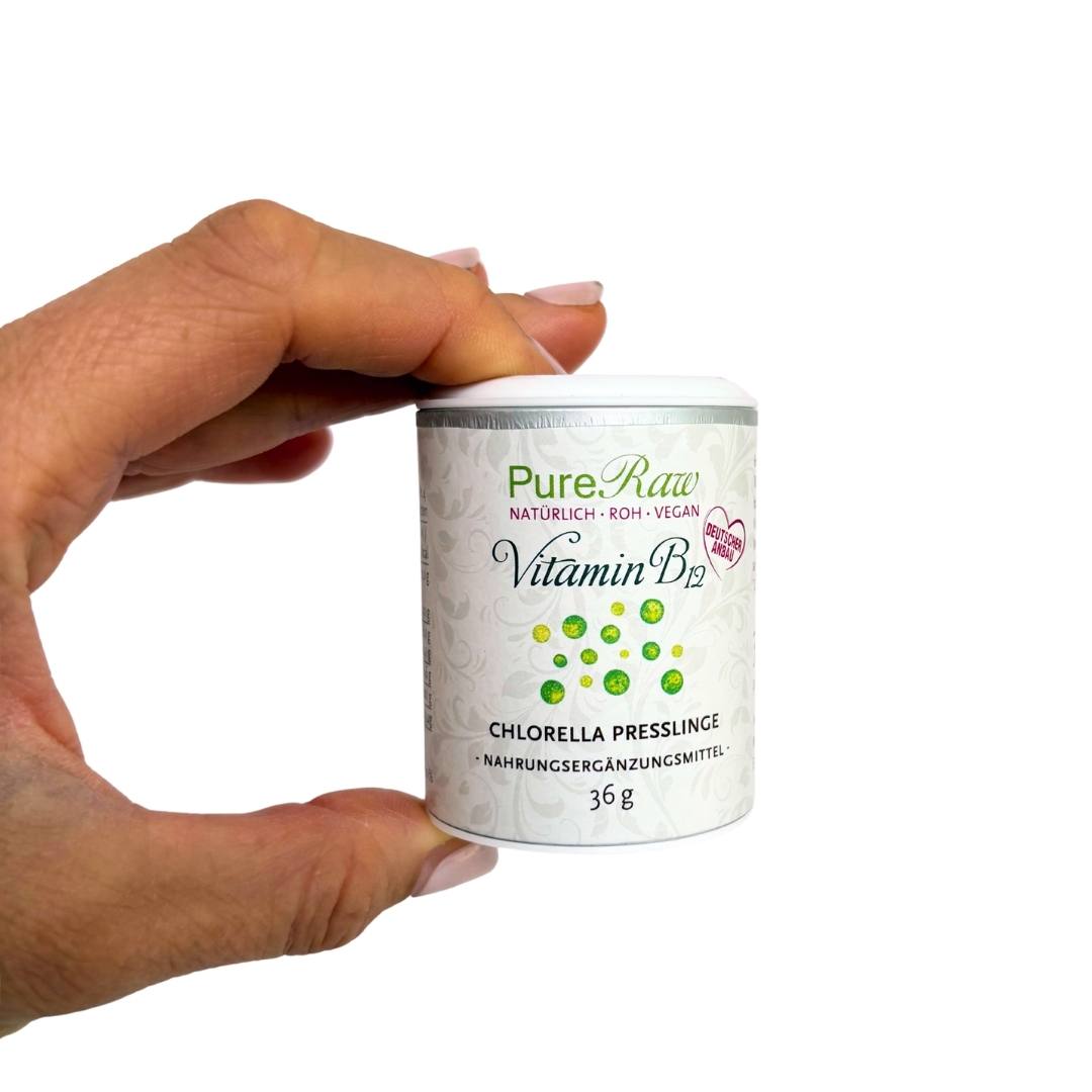 Kleine 36-g-Dose Vitamin B12 Chlorella Presslinge in einer Hand