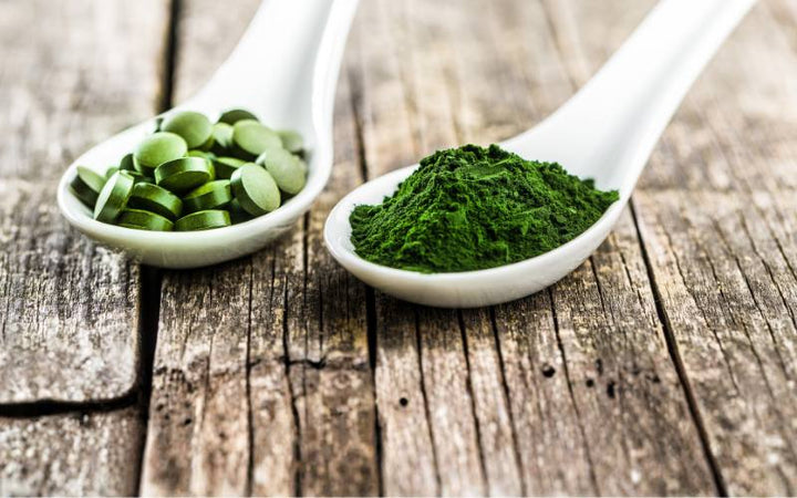 Chlorella