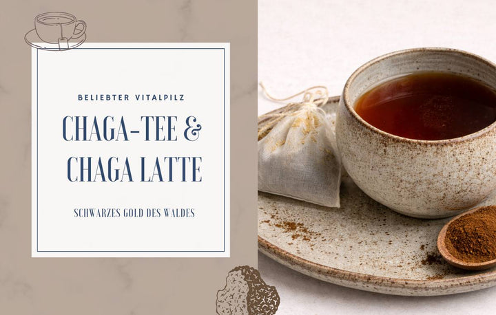 Chaga-Tee und Chaga Latte