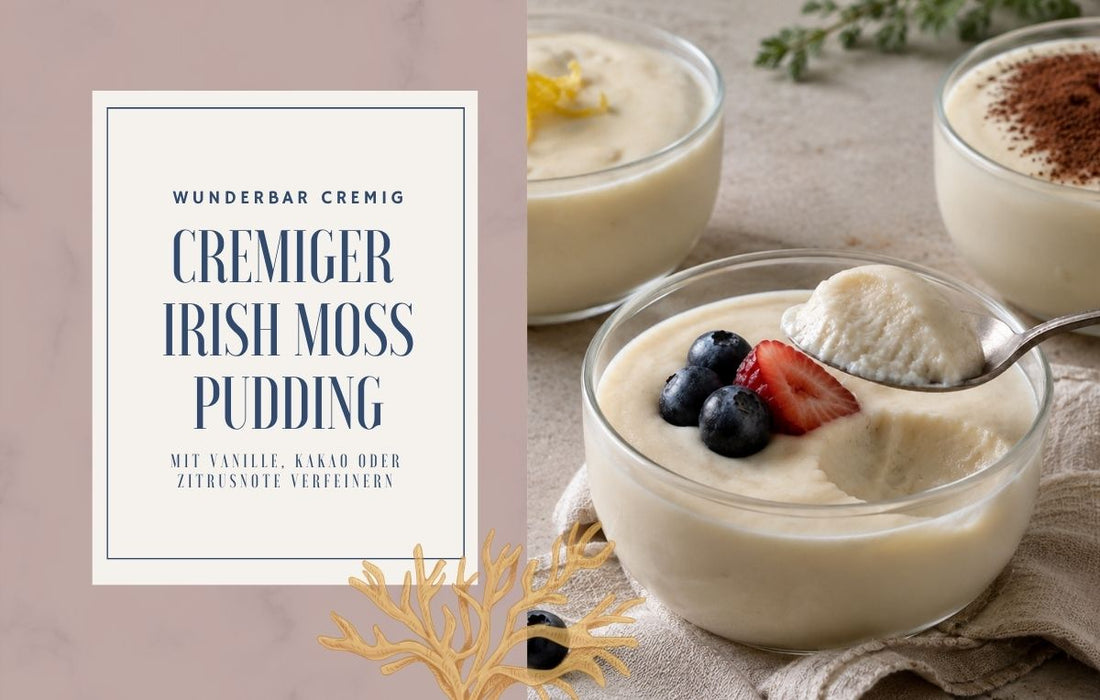 Cremiger veganer Irish Moss Pudding mit Beeren sowie Varianten mit Kakao und Zitrusnote.