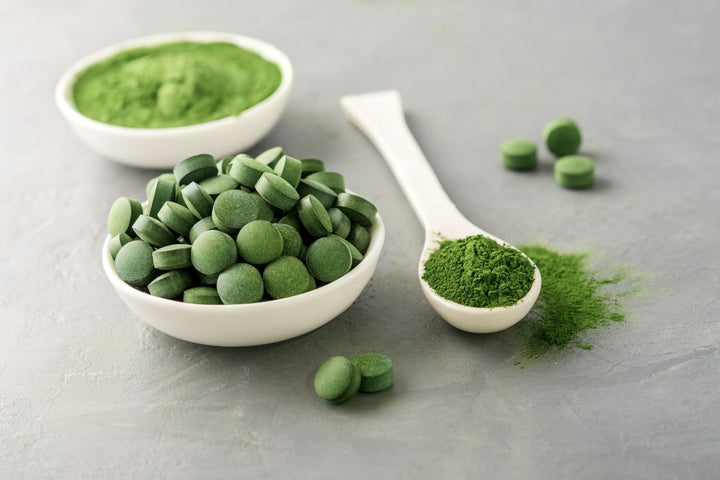 Chlorella Presslinge und Pulver in weißen Schälchen und ein Löffel mit leuchtend grünem Pulver