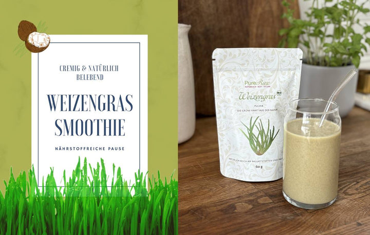 Weizengras Smoothie - einfach & nährstoffreich