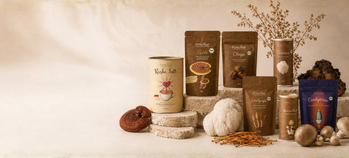 Chaga - Der Vitalpilz