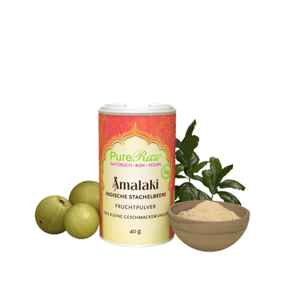 Amla / Amalaki Pulver (Bio) 40 g