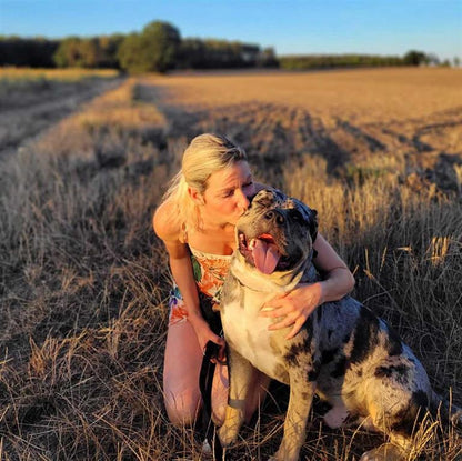 Bodhis Favoriten Set, Hund