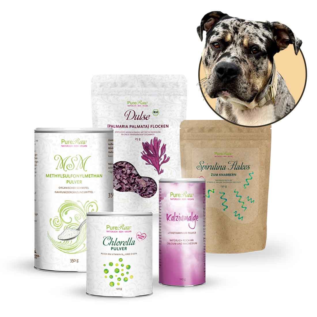 Bodhis Favoriten Set, Hund
