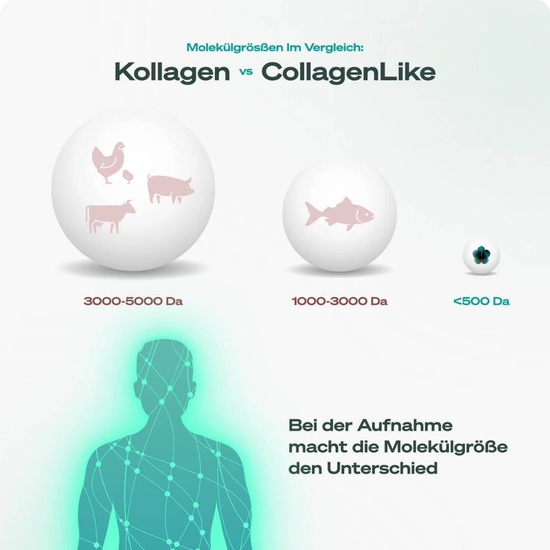 CollagenLike To Go