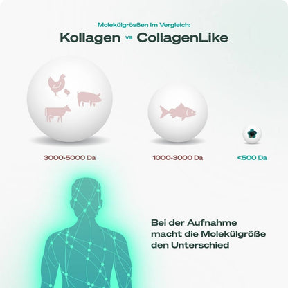 CollagenLike To Go