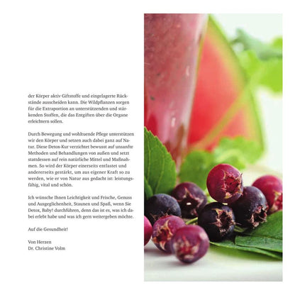 Detox, Baby! Christine Volm