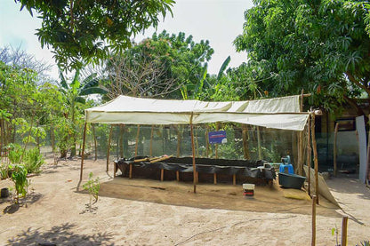 Fundacion Atlantida Spende
