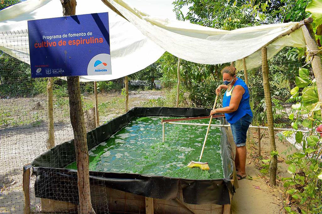 Fundacion Atlantida Spende