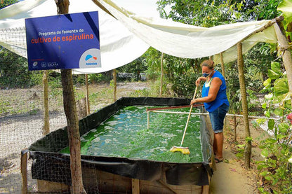 Fundacion Atlantida Spende