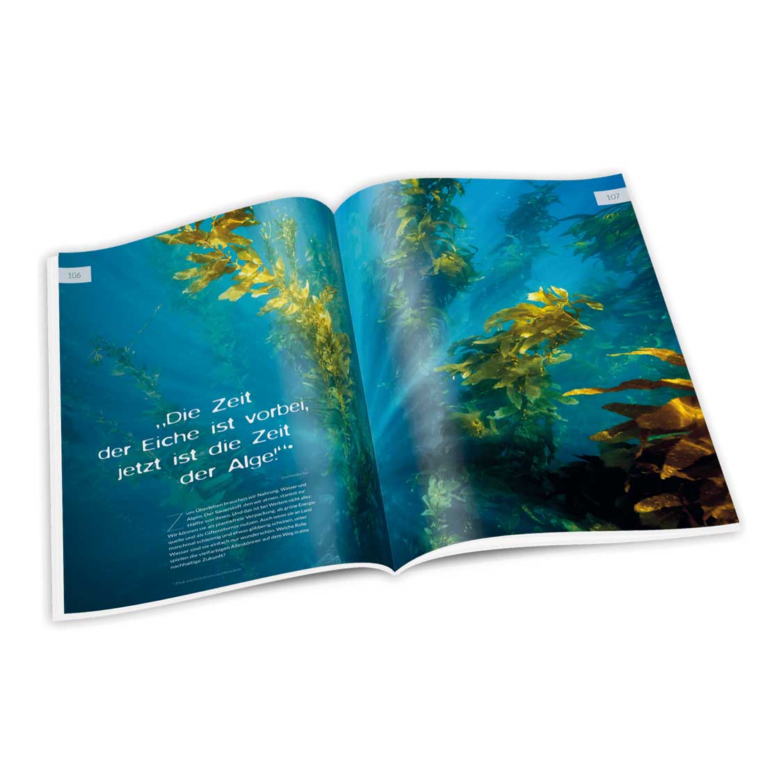 Mondberge Magazin Algen