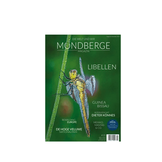 Mondberge Magazine Dragonflies