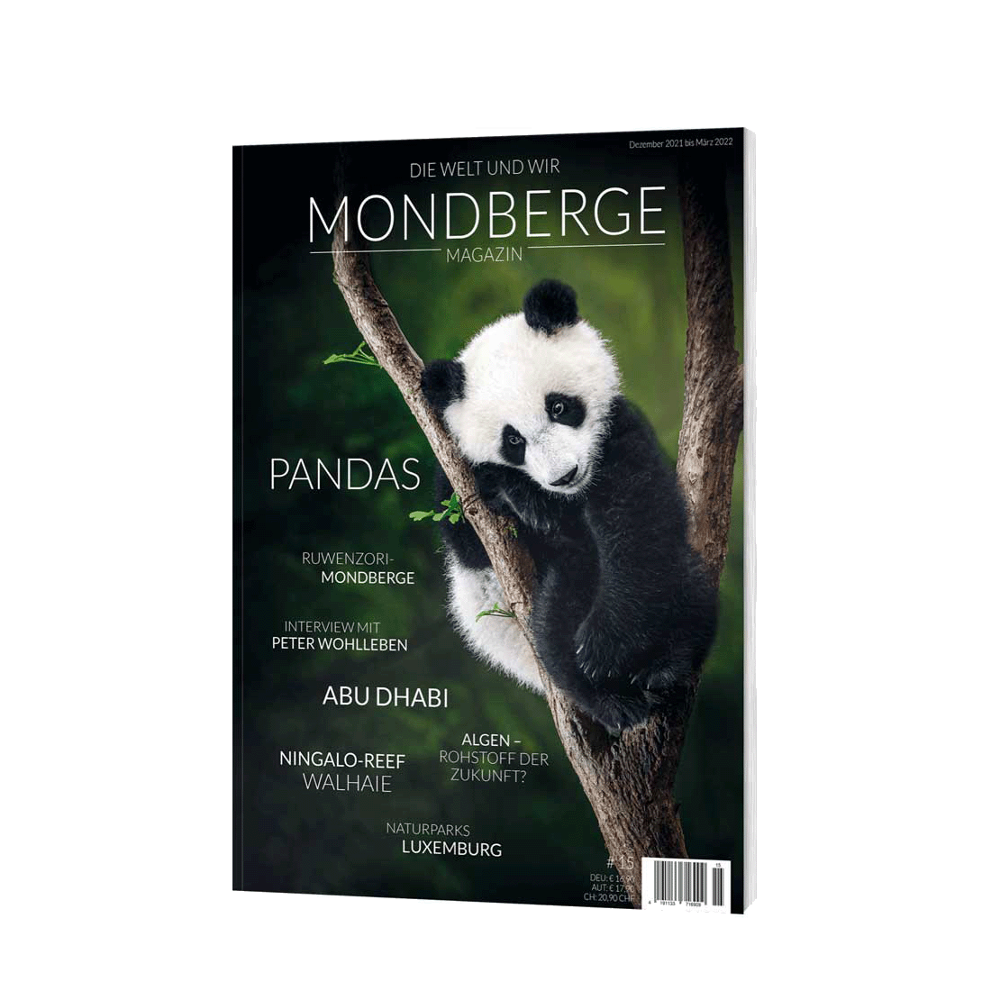 Mondberge Magazin Pandas