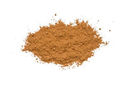 Reishi Latte (Bio)