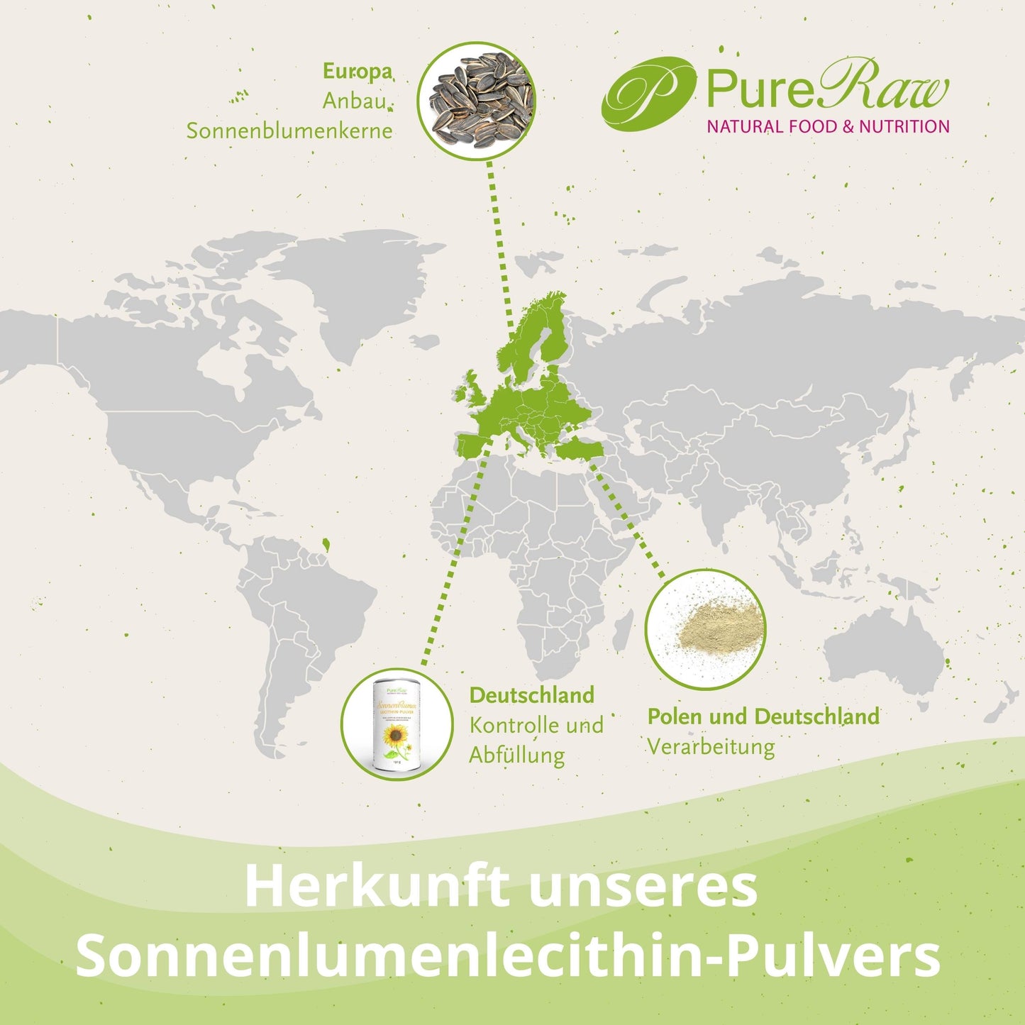 Sonnenblumenlecithin Pulver