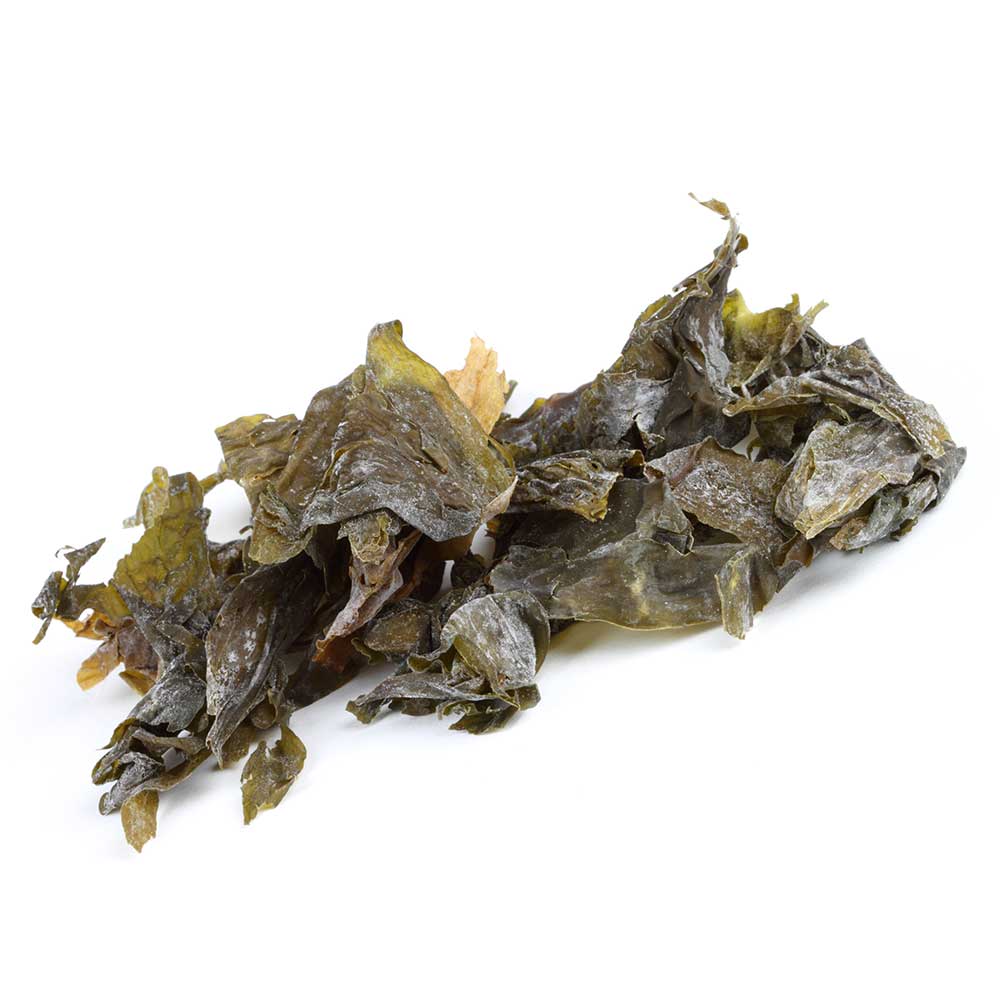 Sugar kelp (Saccharina latissima), (Organic & Raw) 25 g