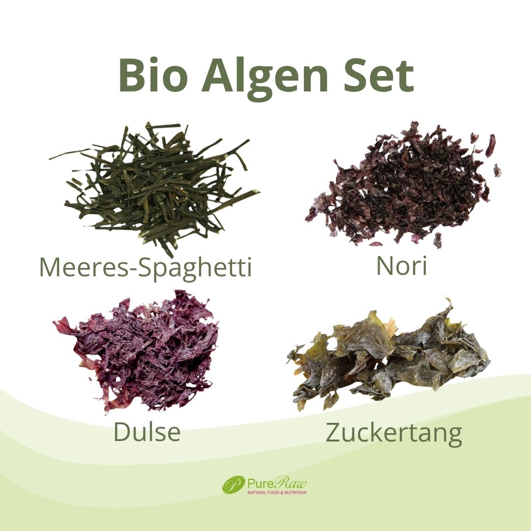 Bio Algen Probierset mit vier Meeresalgen: Meeres-Spaghetti, Nori, Dulse und Zuckertang