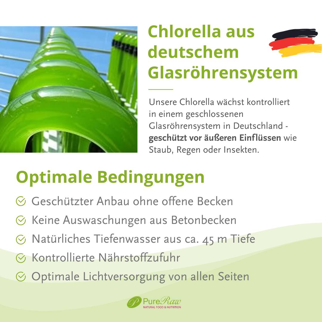 Infografik mit dem Titel „Chlorella aus deutschem Glasröhrensystem“ und einem Foto von grünen Glasröhrensystemen.