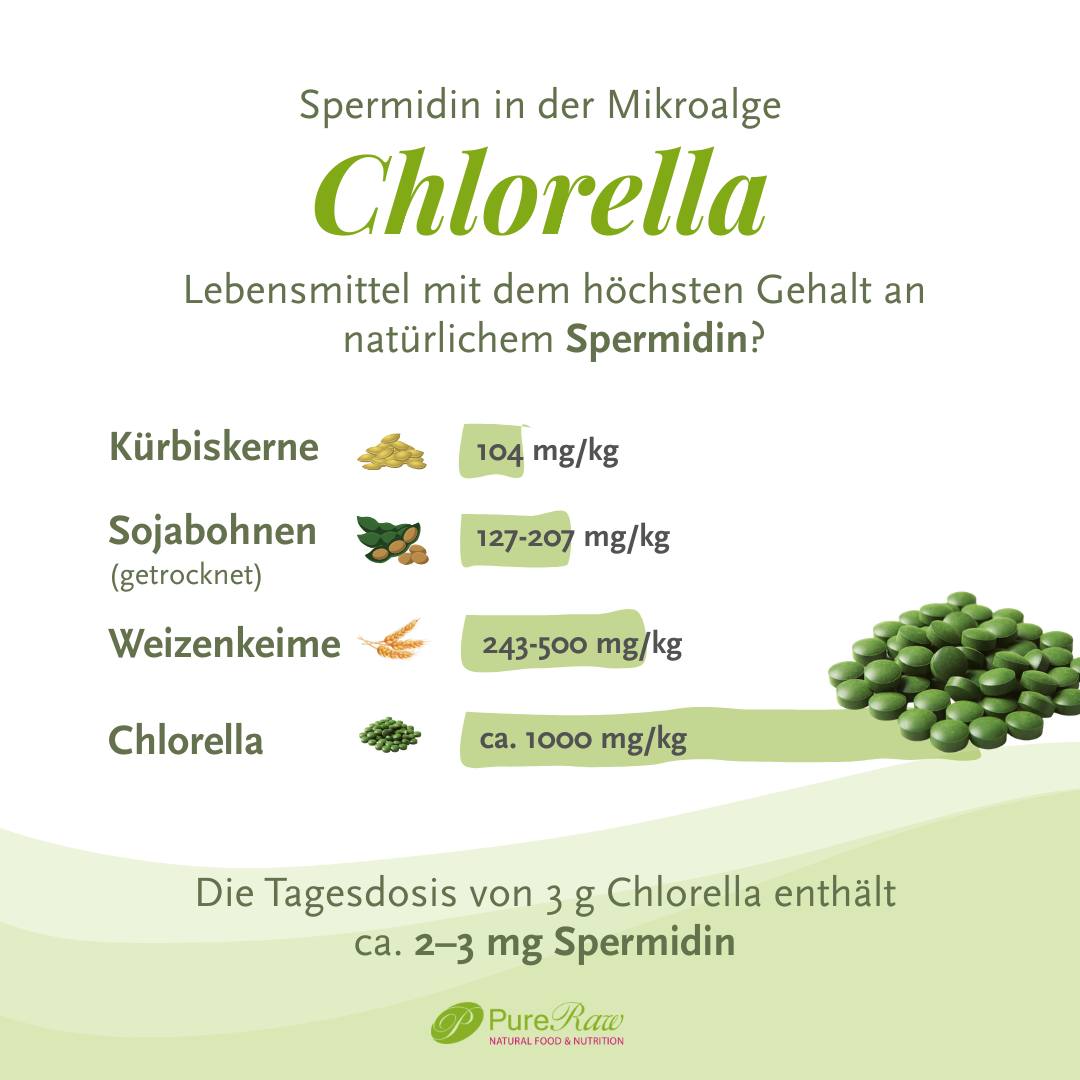 Übersicht ausgewählter natürlicher Inhaltsstoffe der Mikroalge Chlorella