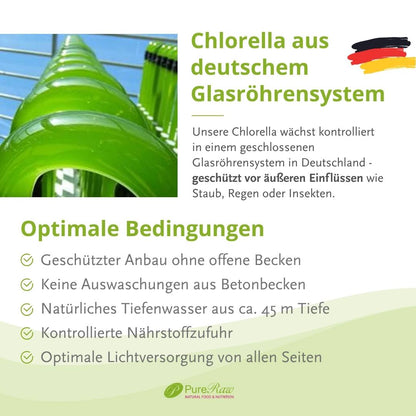 Infografik mit dem Titel „Chlorella aus deutschem Glasröhrensystem“ und einem Foto von grünen Glasröhrensystemen.