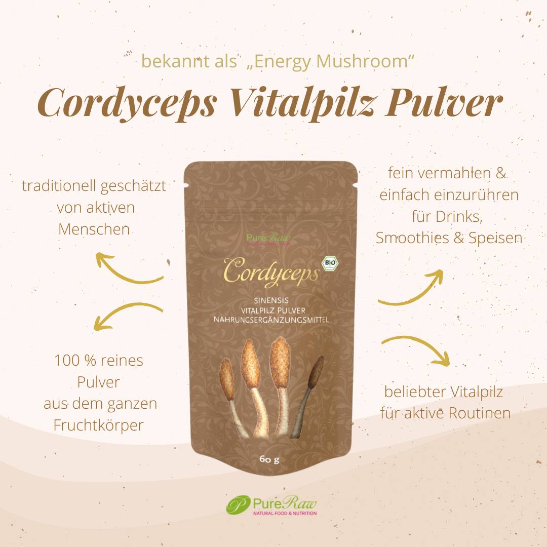 Cordyceps Vitalpilz Pulver Bio mit Produktvorteilen und Verpackung in einer Infografik