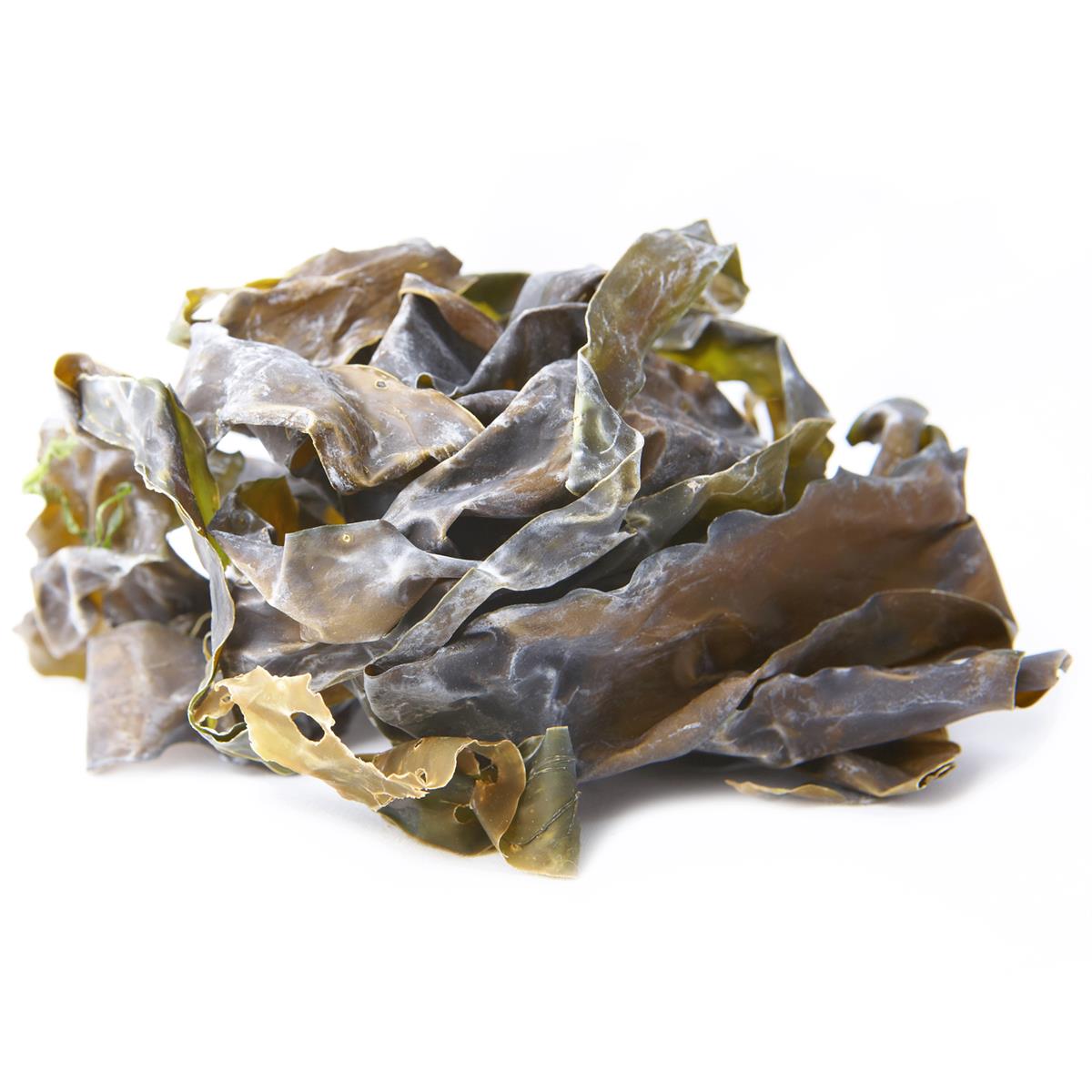 Kombu (Laminaria ochroleuca) (Bio & Roh) 25 g