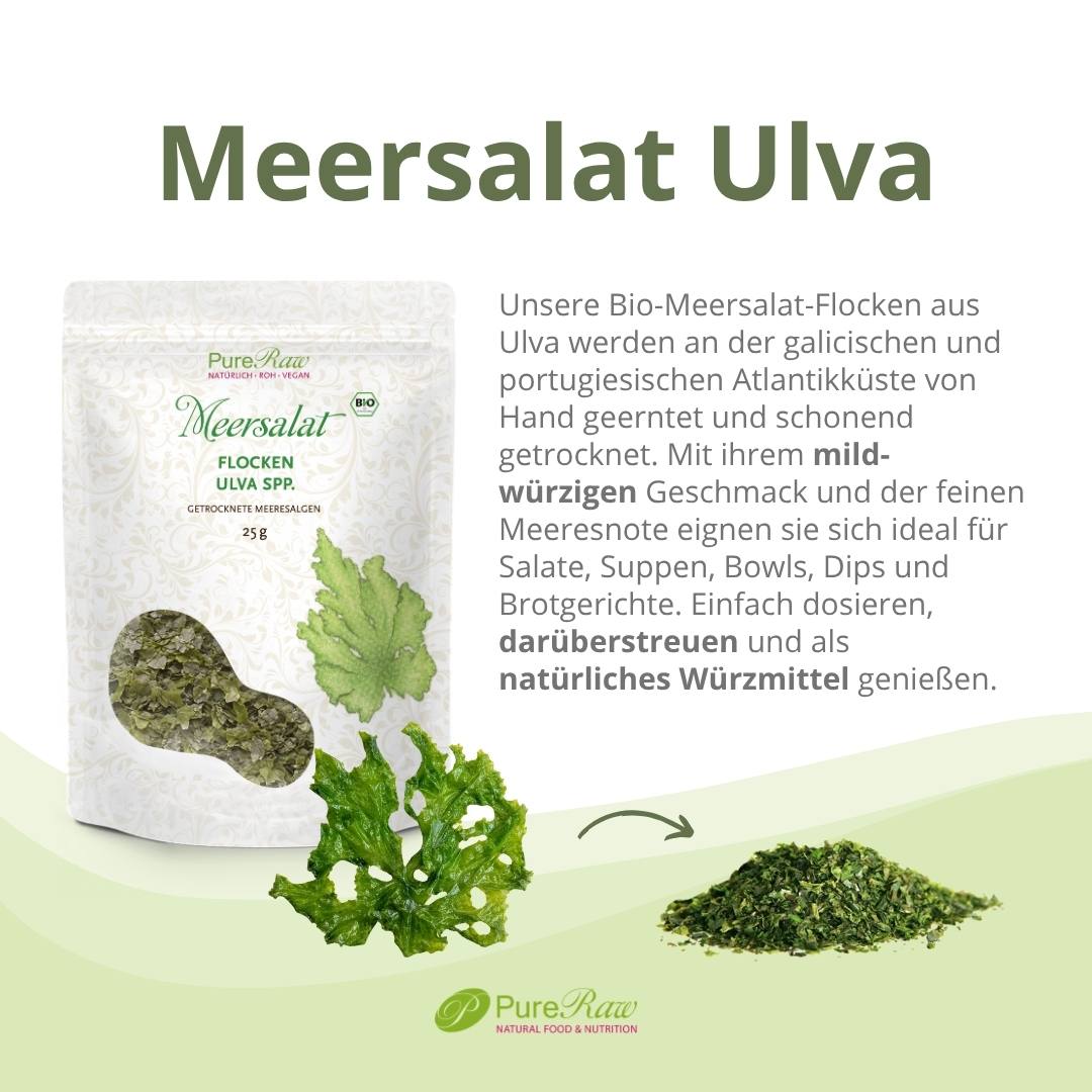 Bio Meersalat Ulva mit Produktbeschreibung, frischer Alge und getrockneten Flocken
