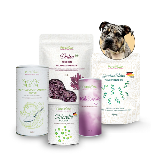 Hunde-Set mit Kalziumalge, Chlorella, Spirulina, Dulse und MSM von PureRaw