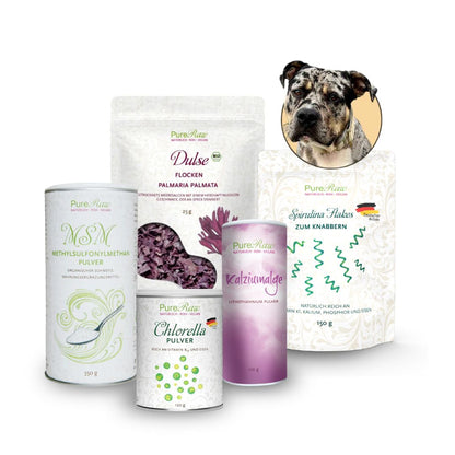 Hunde-Set mit Kalziumalge, Chlorella, Spirulina, Dulse und MSM von PureRaw