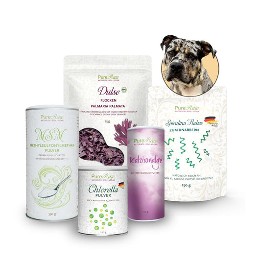Hunde-Set mit Kalziumalge, Chlorella, Spirulina, Dulse und MSM von PureRaw