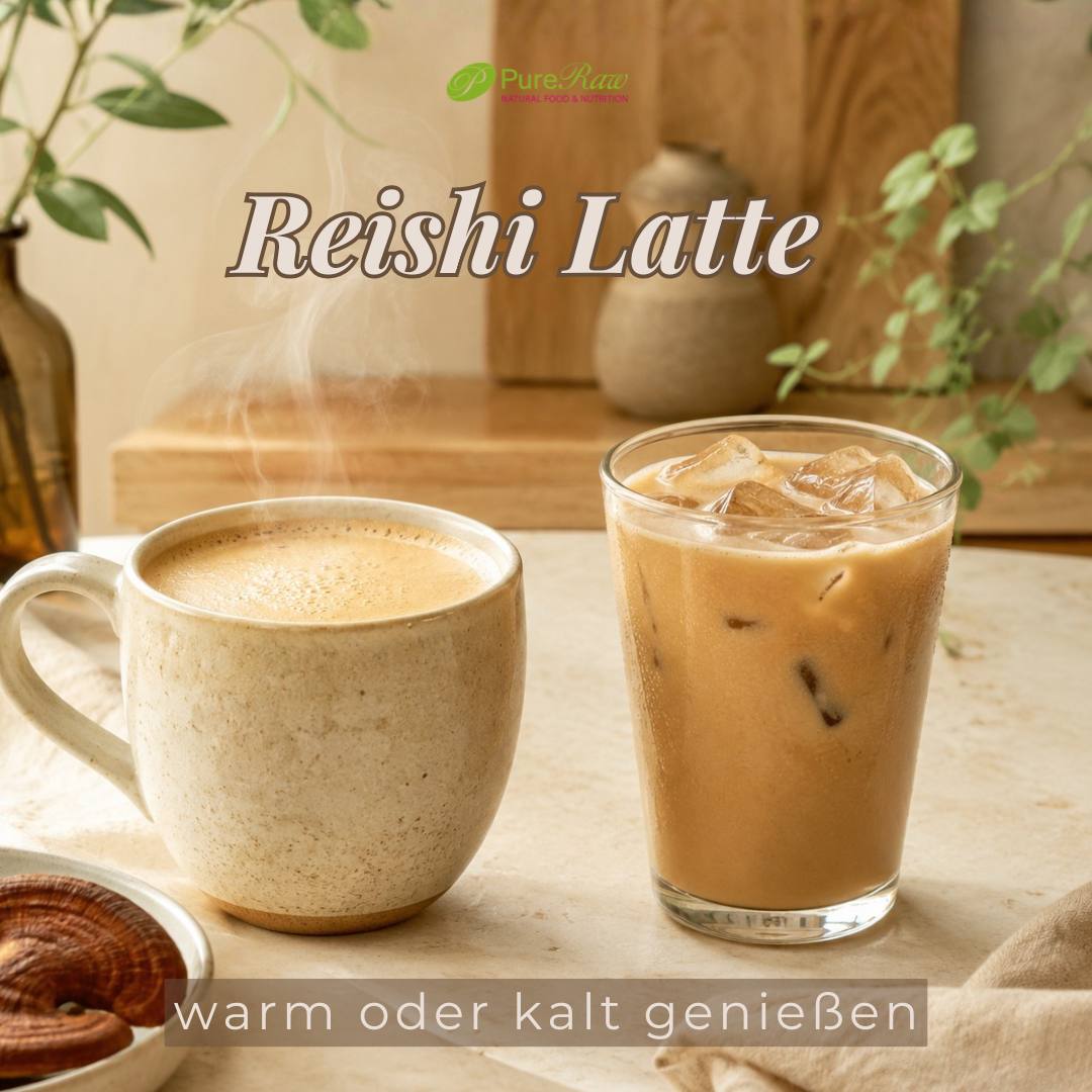 Reishi Latte warm in der Tasse und kalt als Eisgetränk serviert