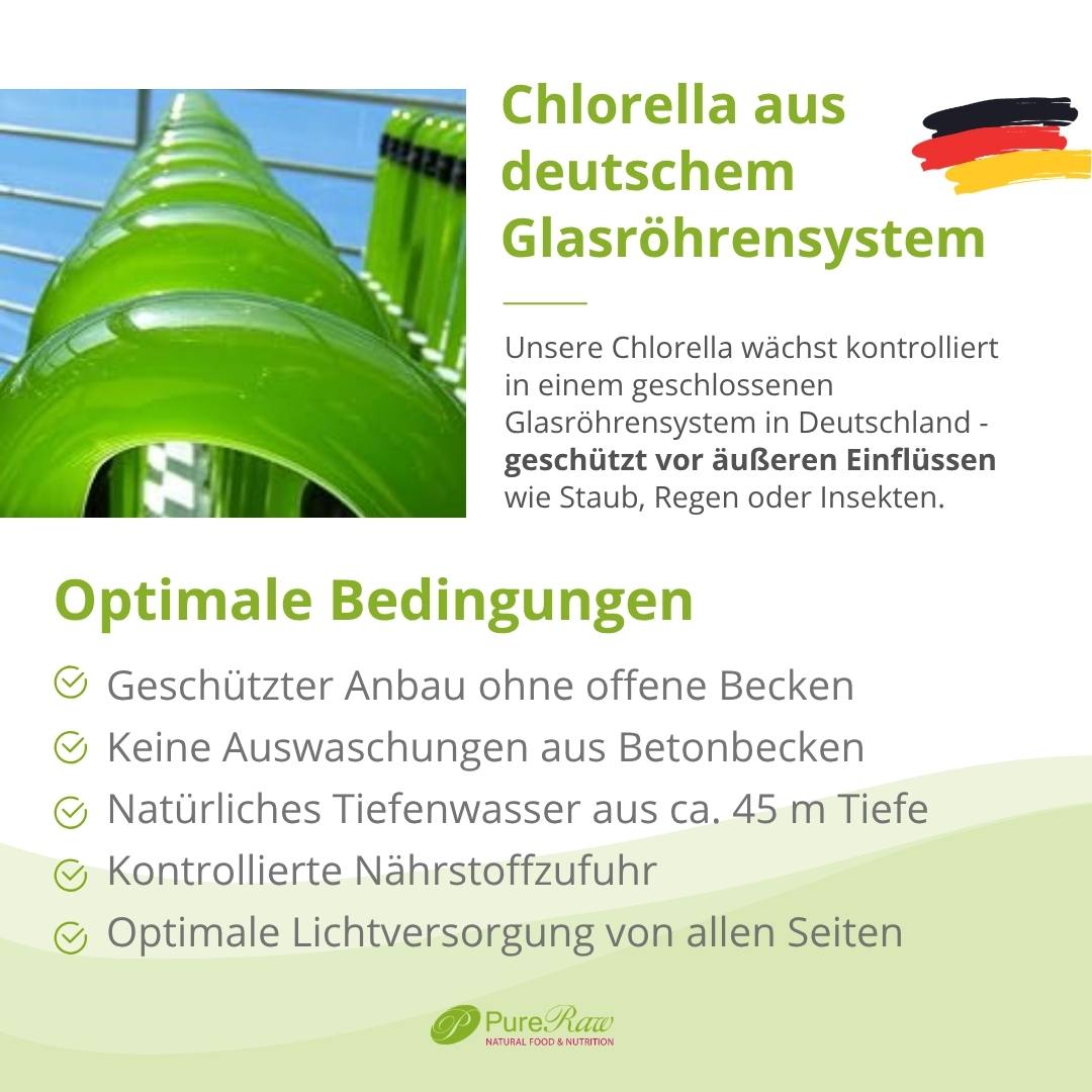 Chlorella-Anbau im geschlossenen Glasröhrensystem in Deutschland