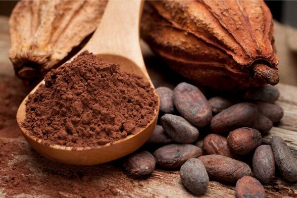Die faszinierende Welt des Criollo-Kakaos: Gesundheitsvorteile und Genuss vereint - 