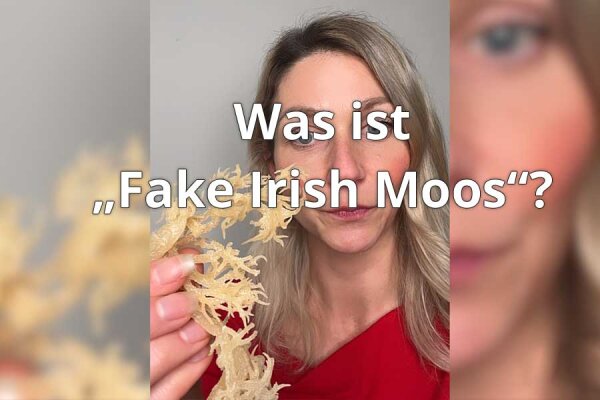 Informationen über Irish Moos - Informationen über Irish Moos