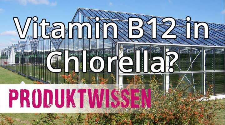 Produktwissen Vitamin B12 in Chlorella