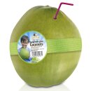 Kokosnüsse, junge grüne frische Bio-Trinkkokosnüsse (9er...