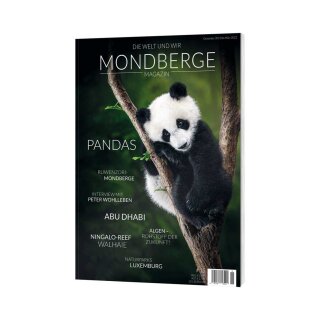 Mondberge Magazin Pandas